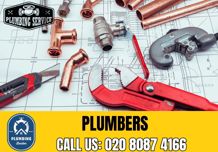 plumber Putney Vale